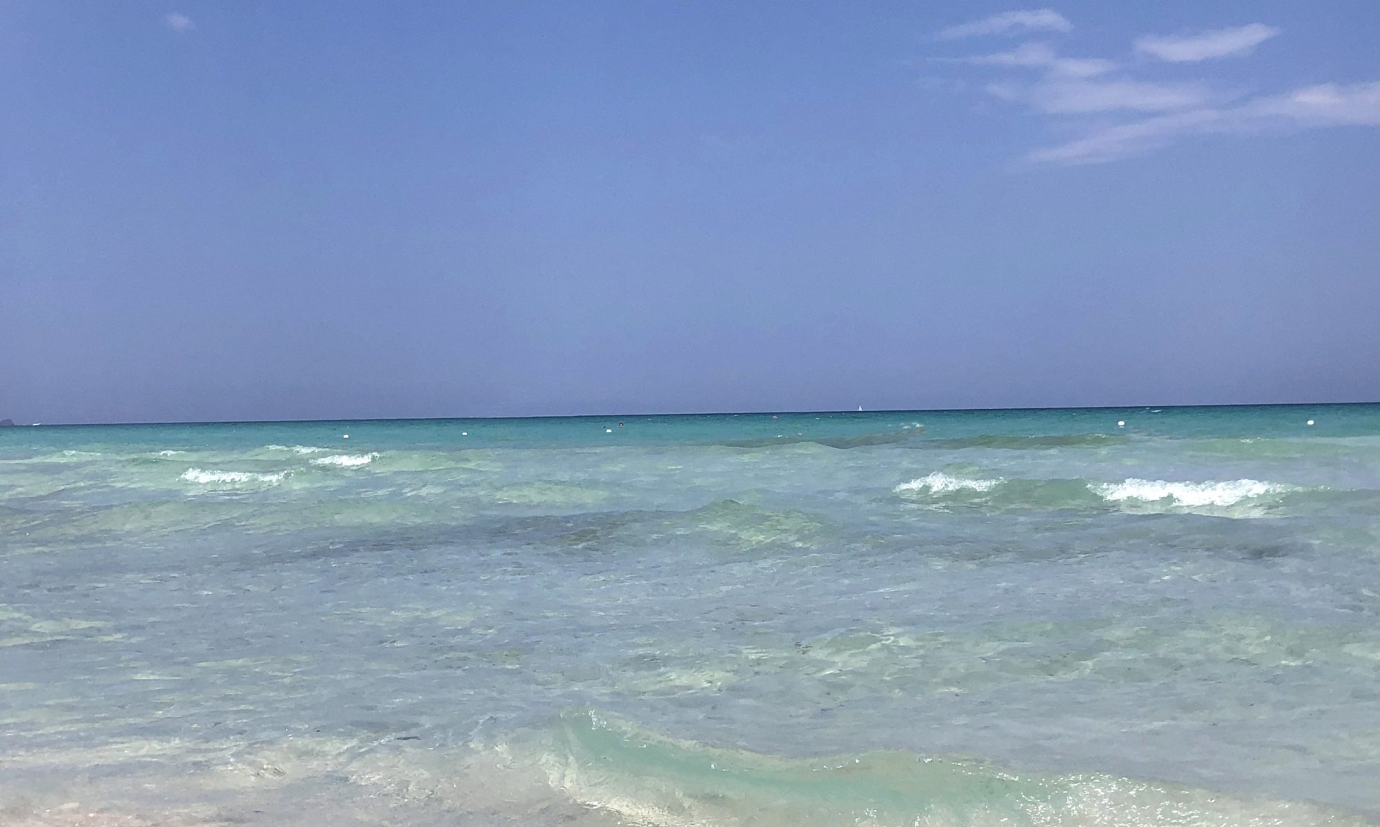 Parco della Sterpaia, Riotorto, Torre Mozza, Carbonifera, Piombino, Follonica